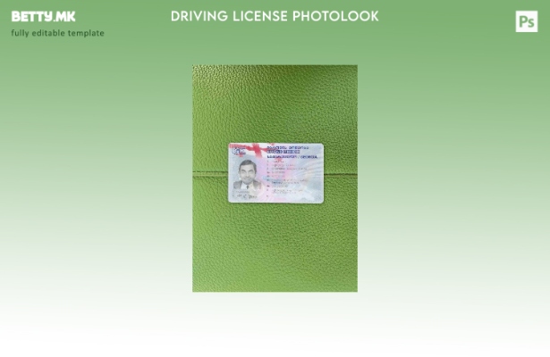 Модерен стил Џорџија DL photolook ПРЕДЕН шаблон